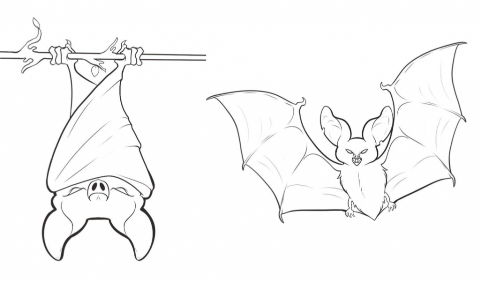 20+ Free Printable Bat Coloring Pages - EverFreeColoring.com