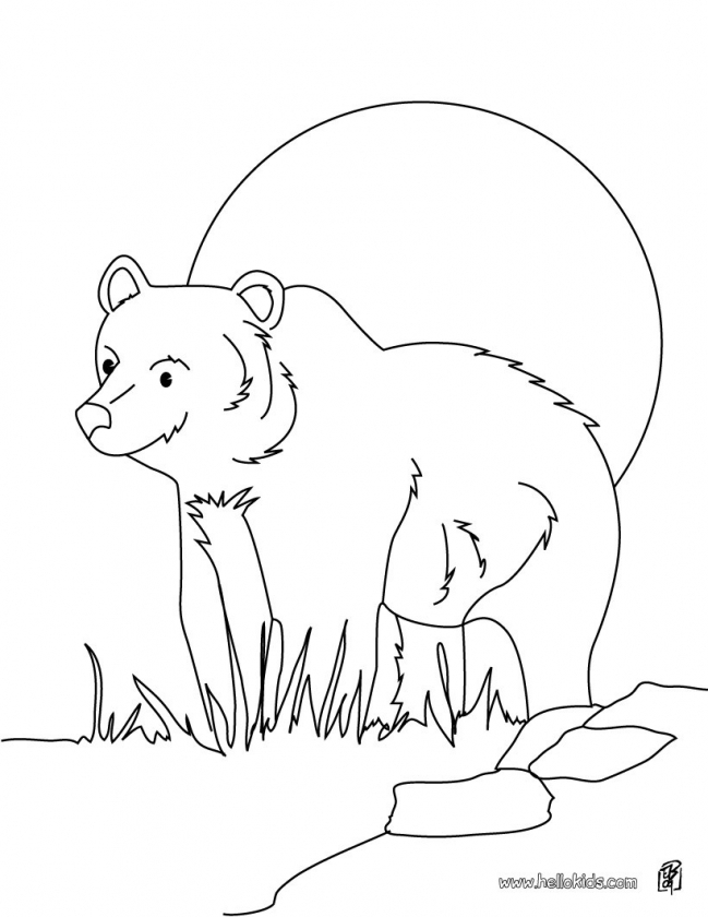 Scary Pumpkin Coloring Pages Halloween 88310 Bear Print 64521