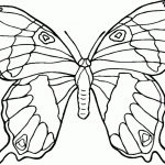 20+ Free Printable Butterfly Coloring Pages - EverFreeColoring.com