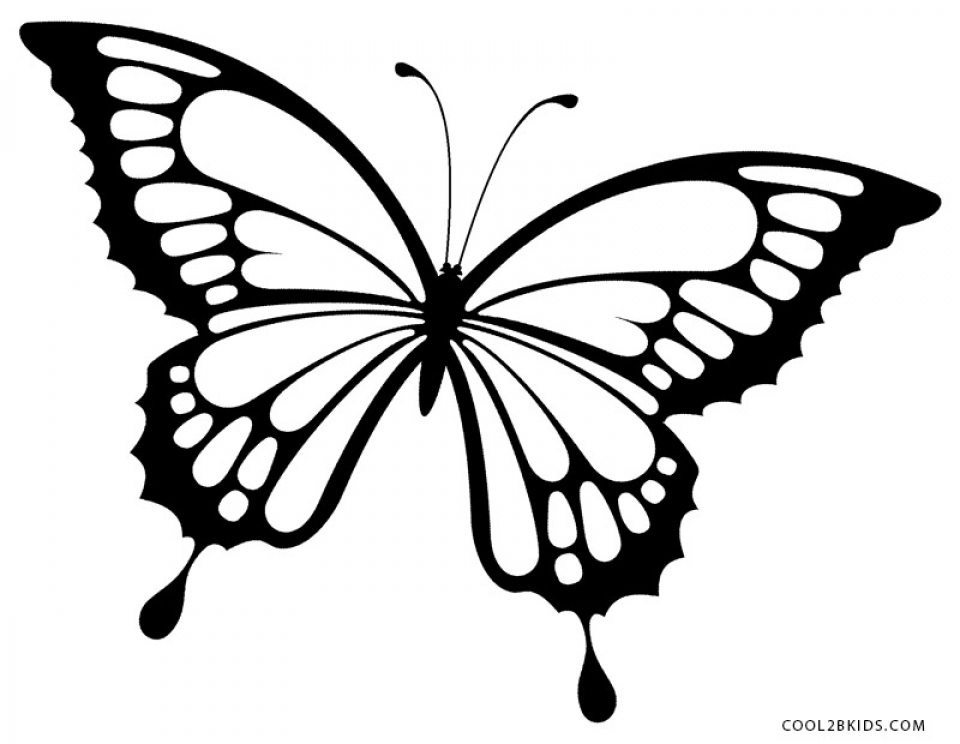 Butterfly Pictures Free Printable