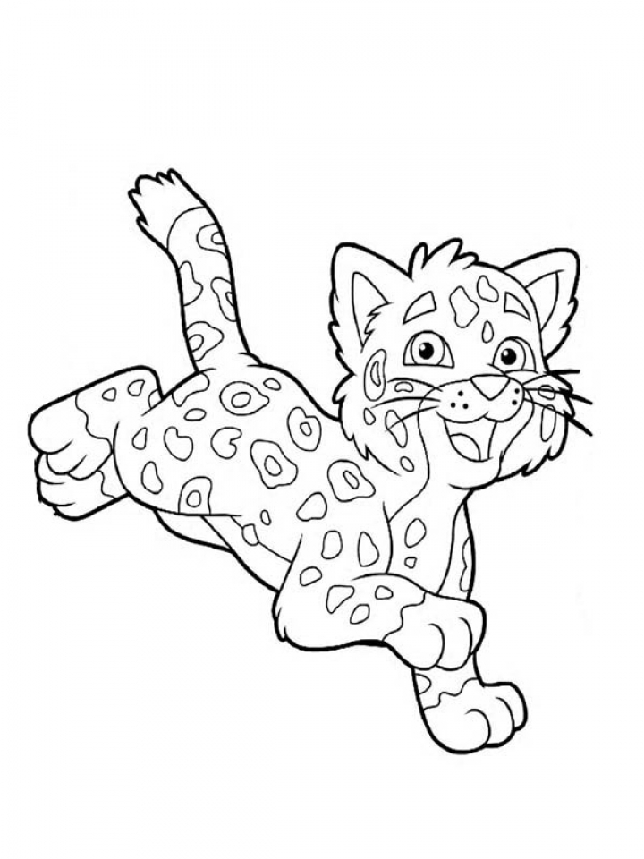 870 Cute Baby Cheetah Coloring Pages with Animal character