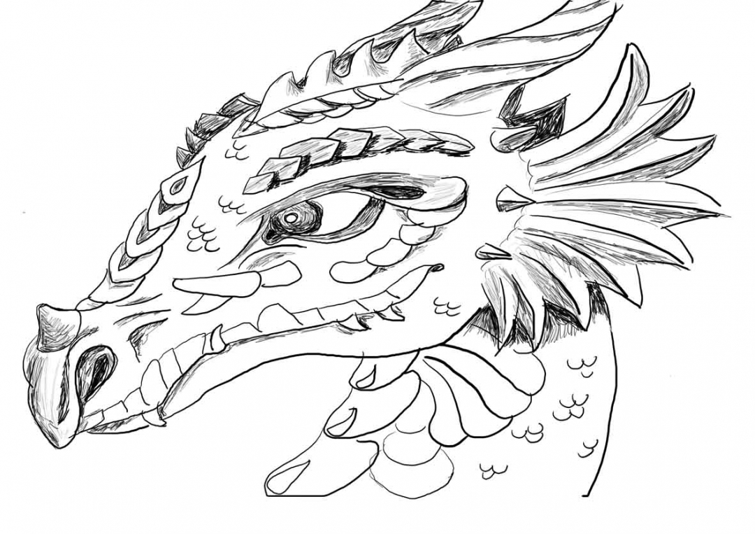 Get This Dragon Coloring Pages for Adults Free t20n20 