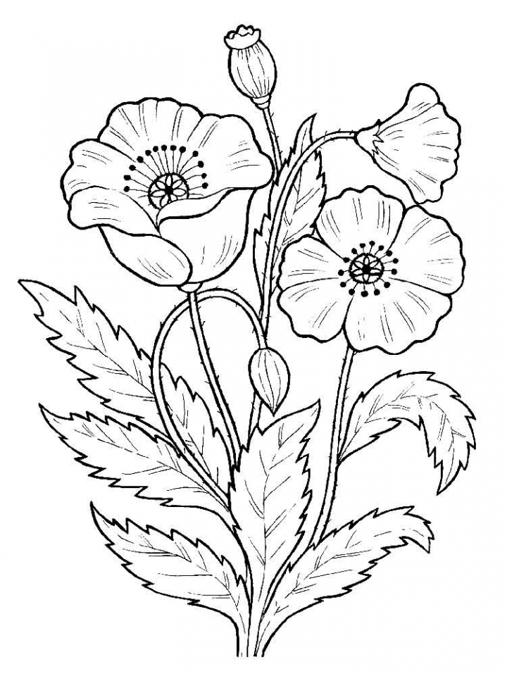 Get This Flowers Coloring Pages Kids Printable 2167