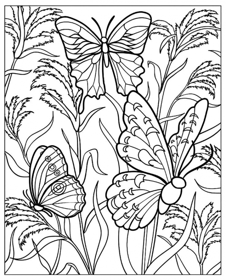 Get This Free Printable Butterfly Coloring Pages for Adults at461