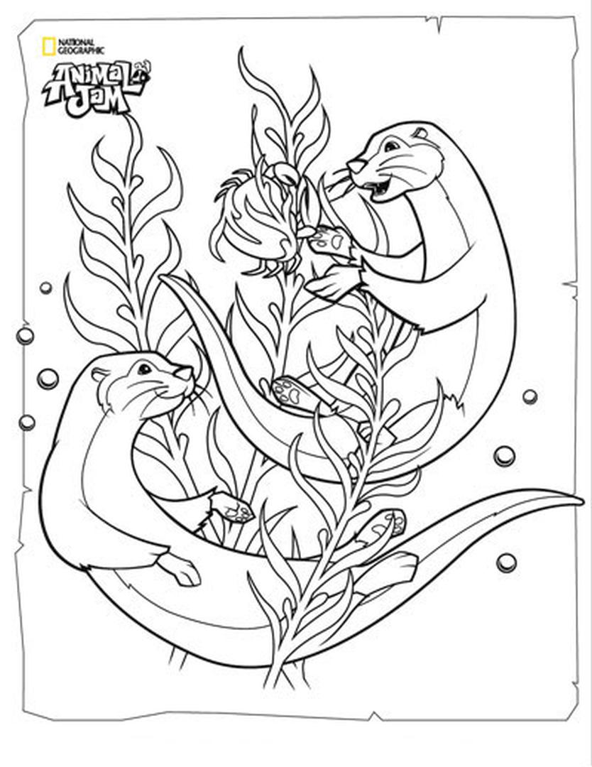 Get This Otters Animal Jam Coloring Pages Printable 20ott 