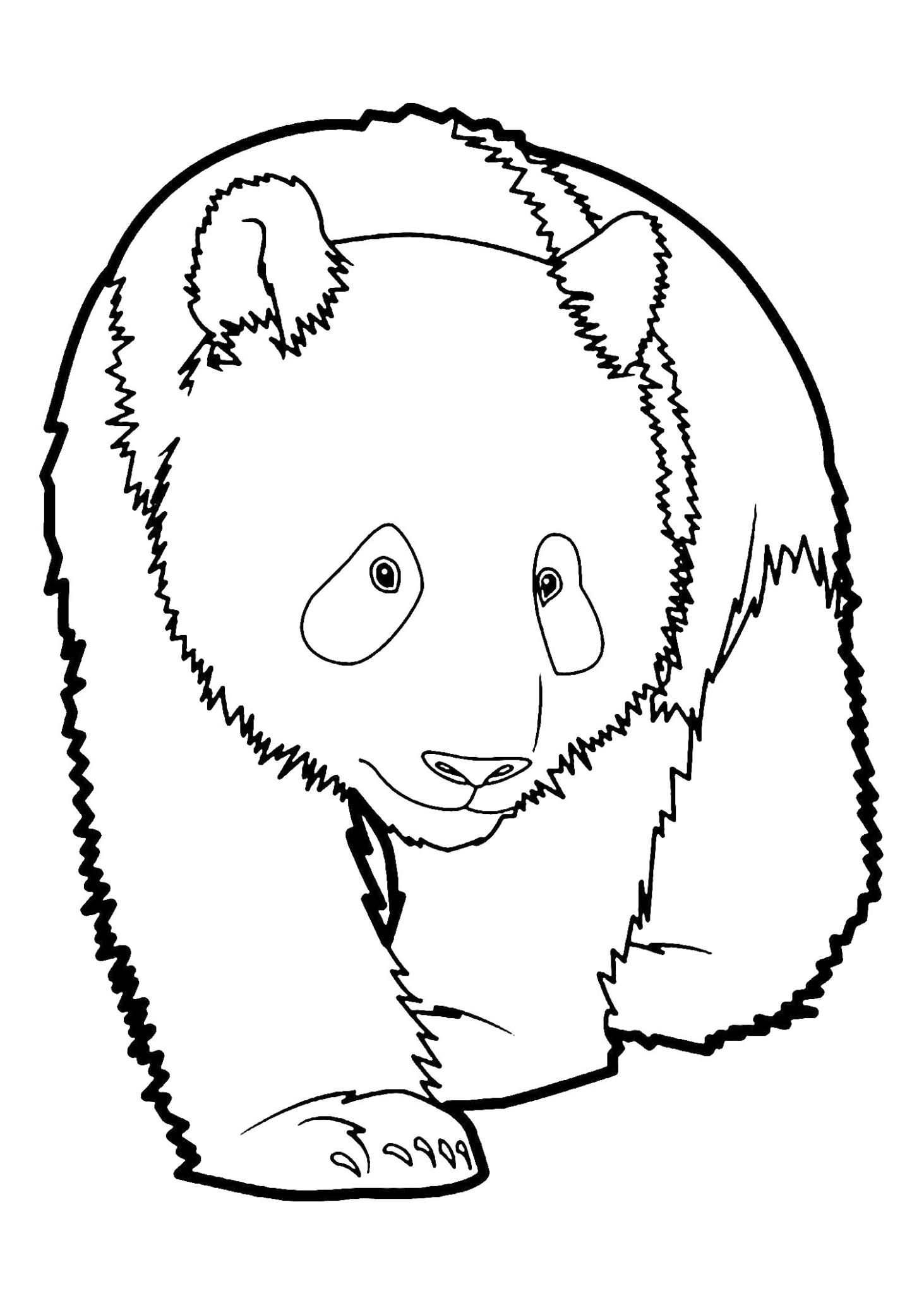 20 Free Printable Panda Coloring Pages EverFreeColoring