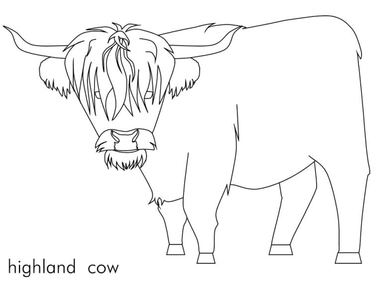 Get This Cow Coloring Pages for Preschoolers Scotland Cow Is Hairy