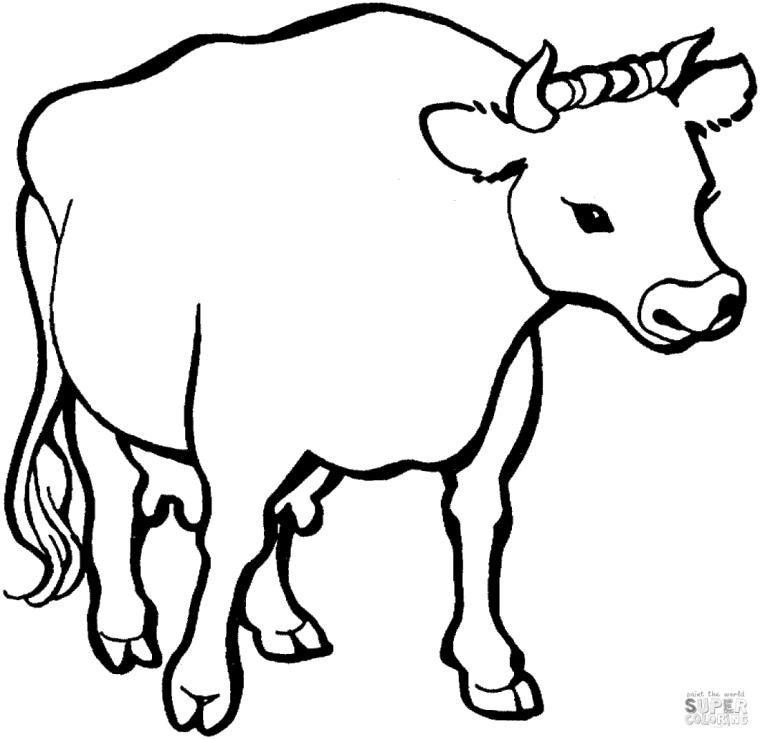 Farm Animal Cow Coloring Book Page For Kids Cartoon Style Vector  Illustration Isolated On White Background Stock Illustration - Download  Image Now - iStock