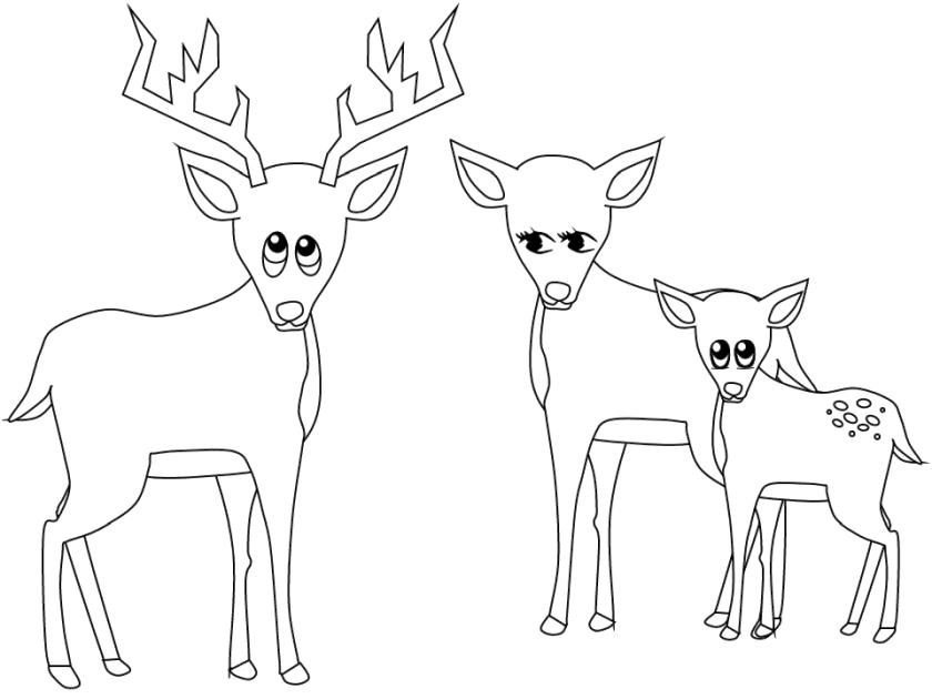 Get This Deer Coloring Pages Free Printable Deer Family Simple Drawing