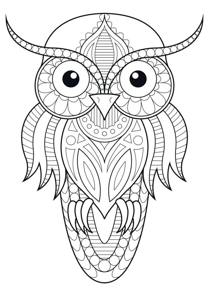 Get This Owl Adult Coloring Pages 1sp4