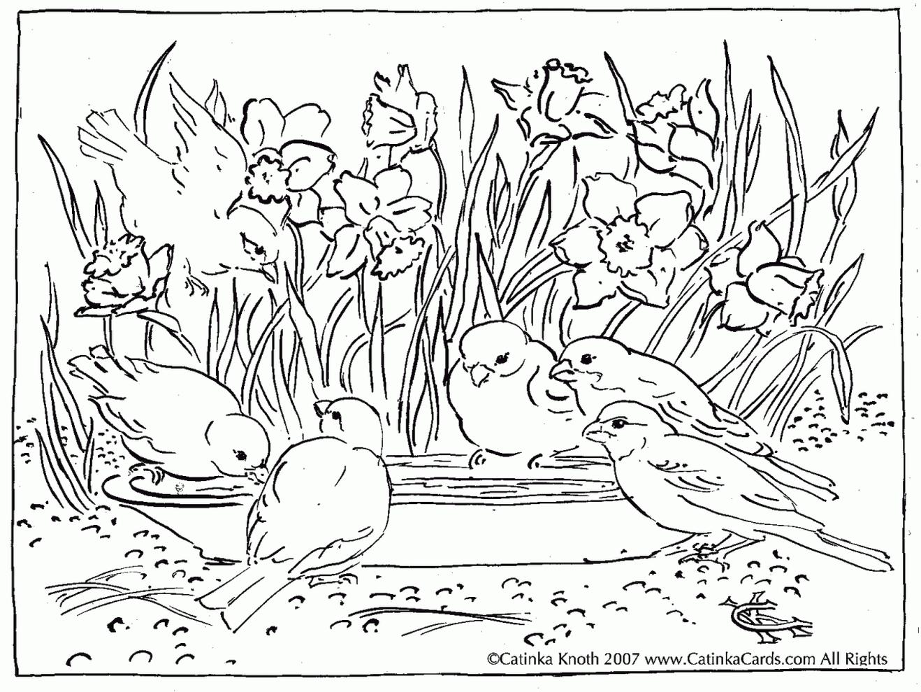 Get This Spring Adult Coloring Pages A flock of Little Birds in ...