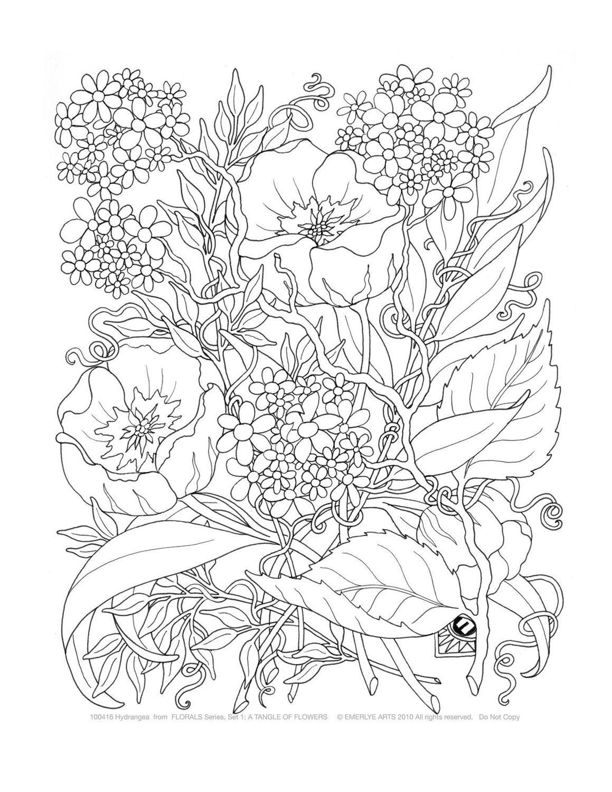 Get This Spring Adult Coloring Pages Difficult Spring ...
