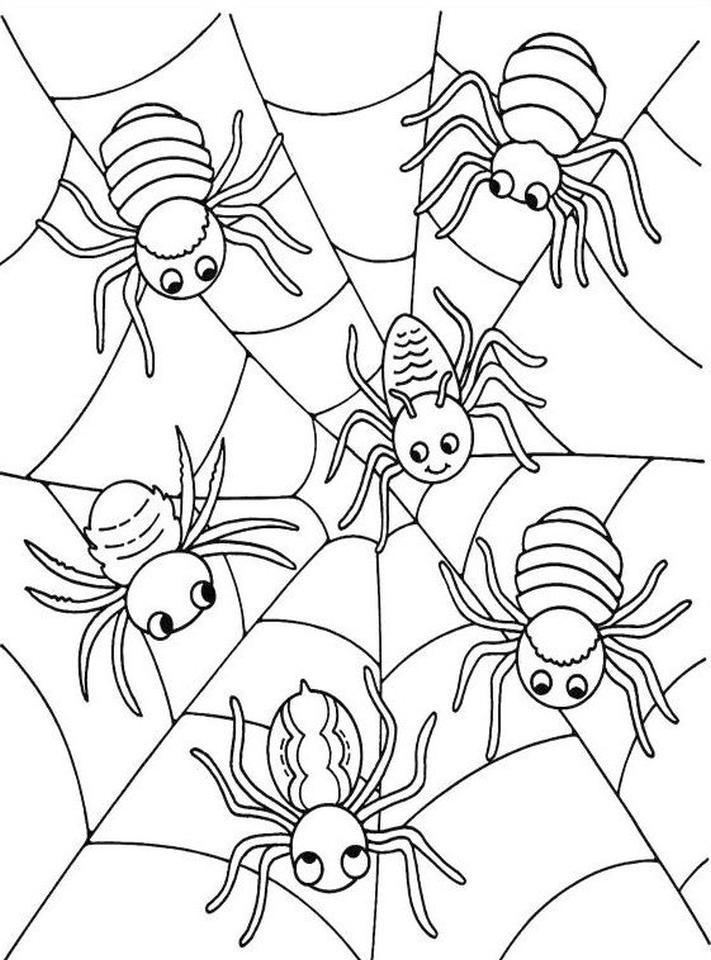Get This Many Baby Spiders Having Fun on the Web Coloring Page Spider