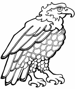 4th of July Coloring Pages for Adults   06721