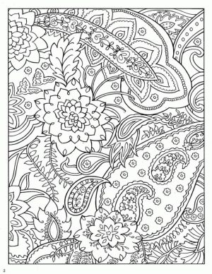 Abstract Coloring Pages for Adults Paisley and Floral Patterns