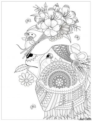 Adult Coloring Pages Animals Bear 1