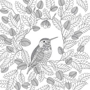 Adult Coloring Pages Animals Bird 1