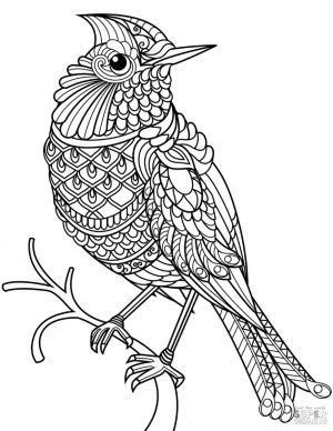 Adult Coloring Pages Animals Bird 2