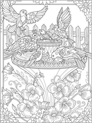 Adult Coloring Pages Animals Bird 3
