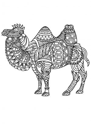 Adult Coloring Pages Animals Camel 1