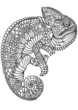 Adult Coloring Pages Animals Chameleon 1