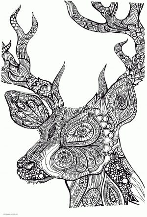 Adult Coloring Pages Animals Deer