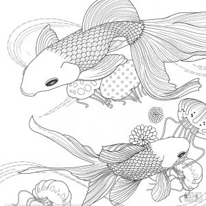 Adult Coloring Pages Animals Fish 1