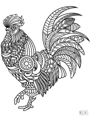 Adult Coloring Pages Animals Rooster 1