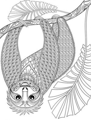 Adult Coloring Pages Animals Sloth 5