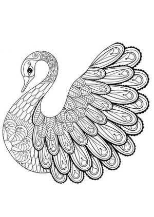 Adult Coloring Pages Animals Swan 1