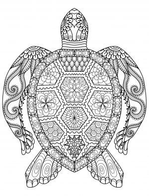 Adult Coloring Pages Animals Turtle 1