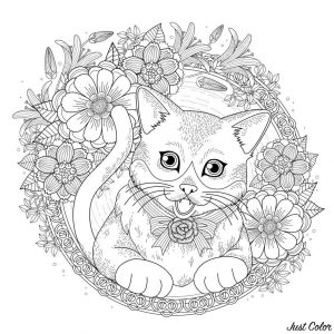 Adult Coloring Pages Cats Excited Cat with Flower Frames