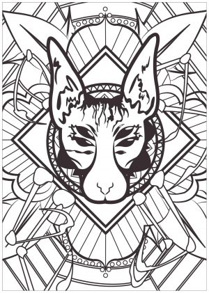 Adult Coloring Pages Cats Spider Cat Head