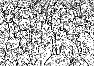 Adult Coloring Pages Cats Trippy Cat Doodle