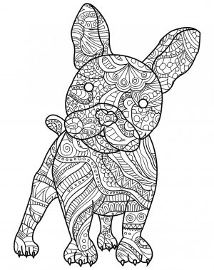 Adult Coloring Pages Dog Curious French Bulldog