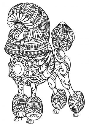 Adult Coloring Pages Dog Poodle with Zentangle Art