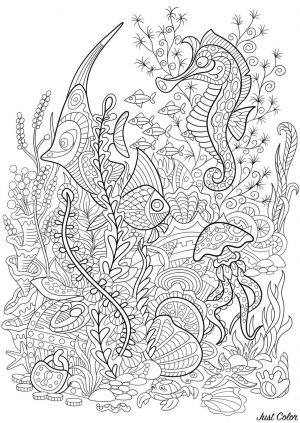 Adult Coloring Pages Ocean Intricate Sea Animals Zentangle