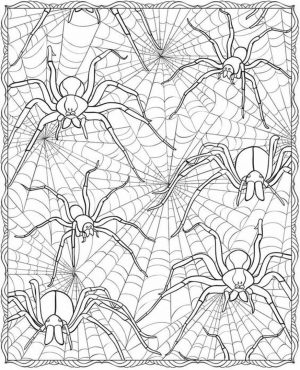 Adult Halloween Coloring Pages Spider Web 6spw