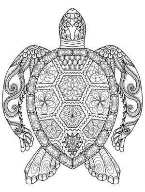 Adults Printable Summer Coloring Pages – 73097