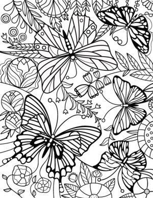 Advanced coloring pages of Butterfly for Adults –
