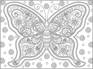 Advanced coloring pages of Butterfly for Adults – 74617