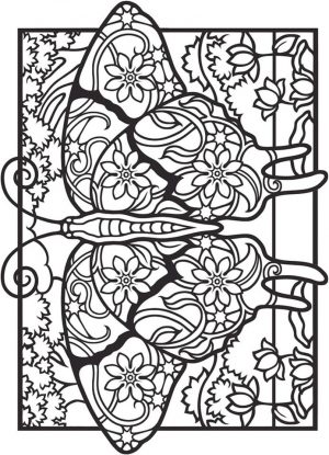 Advanced coloring pages of Butterfly for Adults – 76731
