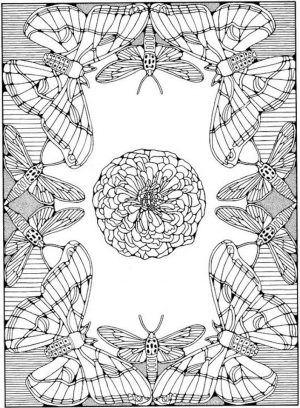 Advanced coloring pages of Butterfly for Adults – 89678