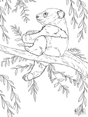 Baby Panda Climbing a Tree Coloring Pages