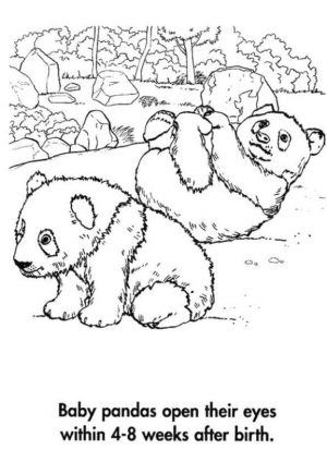 Baby Panda Playing Happily Coloring Page