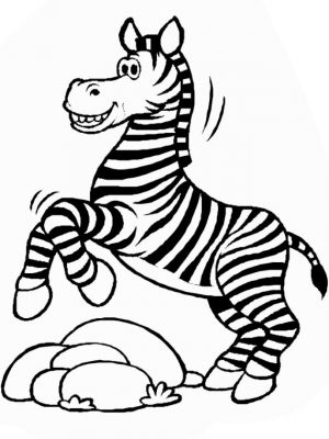 Baby Zebra Coloring Pages toth