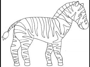 Baby Zebra Coloring Pages vrt6