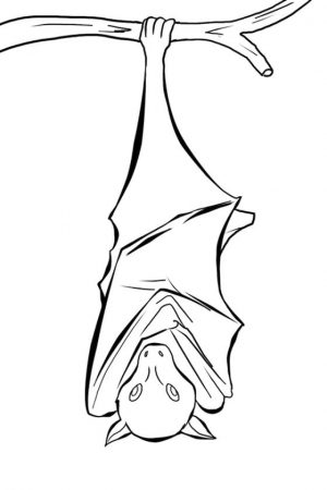Bat Coloring Pages Free Printable – 16217