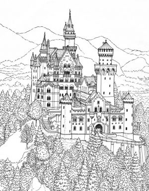 Castle Coloring Pages for Adults – ydg2