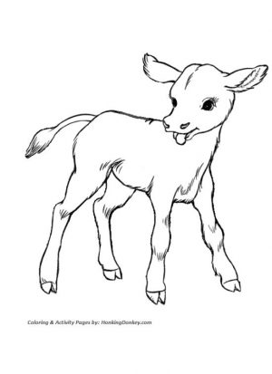 Cow Animal Coloring Pages Baby Cow Drawing for Kids